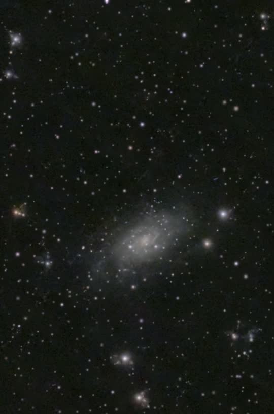 Galaxy NGC 2403 in Camelopardalis: 3D flyby